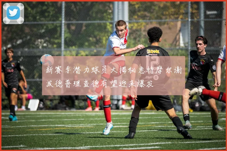 新赛季潜力球员大揭秘惠特摩尔谢泼德普理查德有望迎来爆发